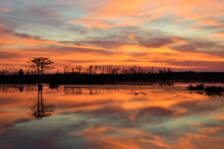 Orange Sunset