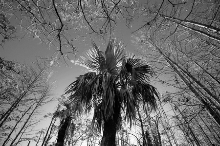 Look up at Grassy Waters