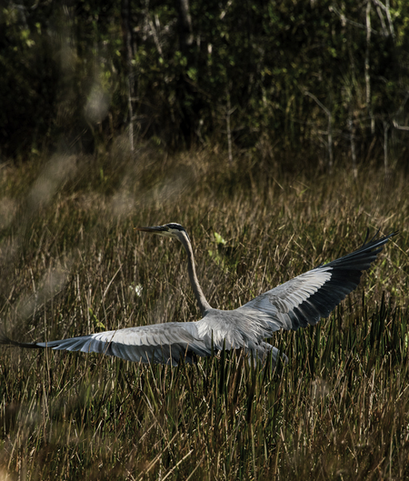 Safe by Christine Brunner