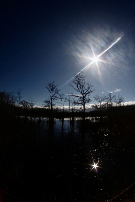 Wilderness Reflections 