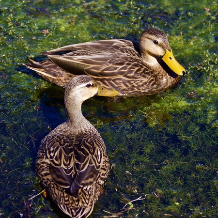 Handsome couple !