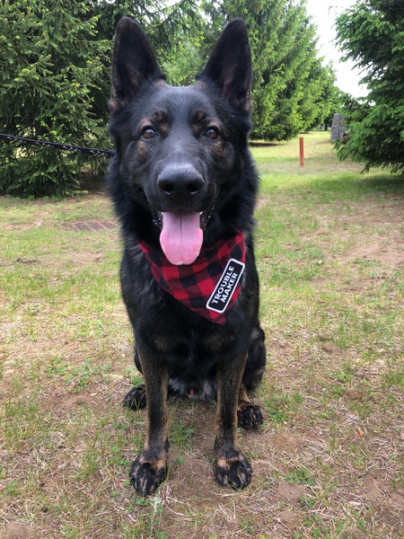 Odin