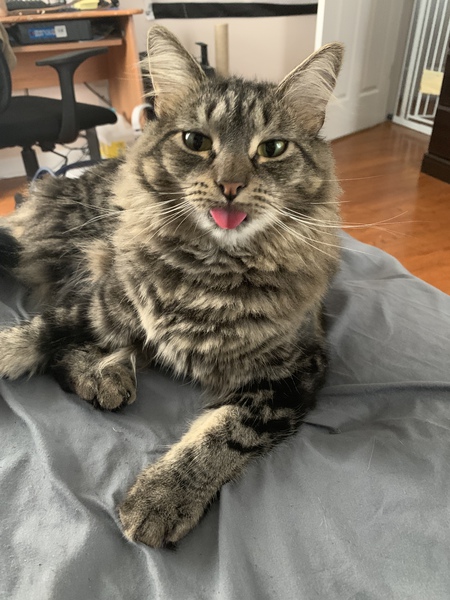 Milo
