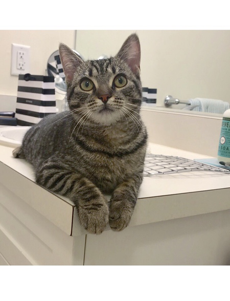 Penny