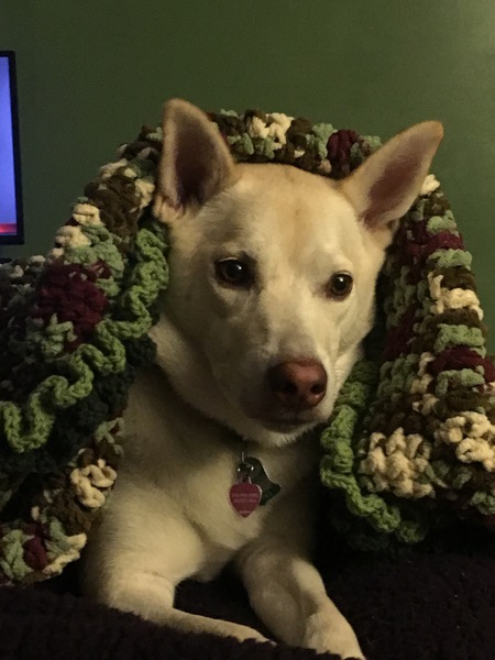Bailey 