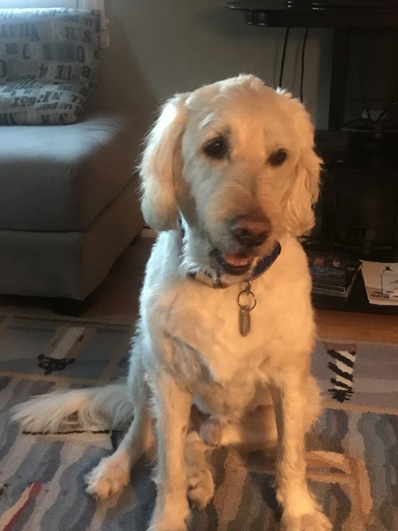 Seamus