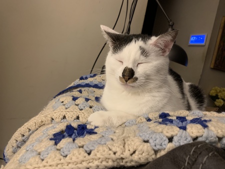 Linus