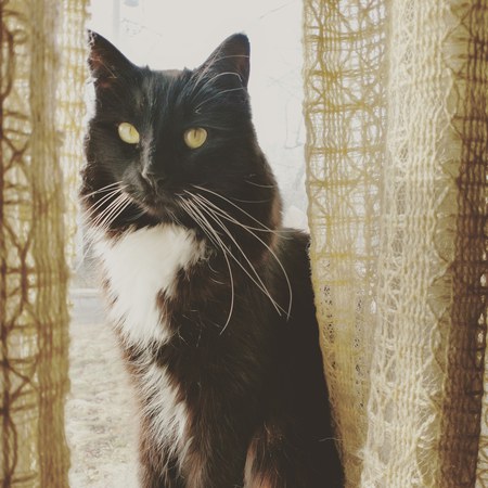 Penelope 
