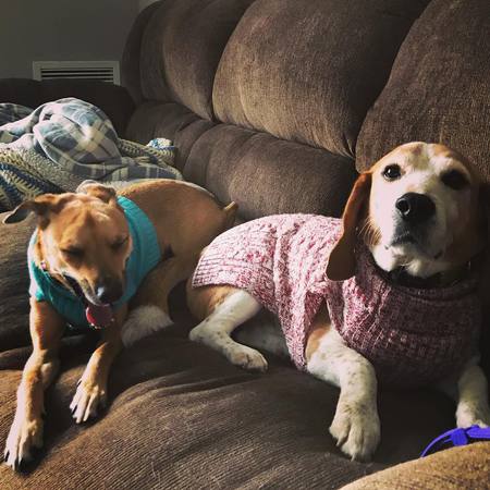 Olive and Sherman