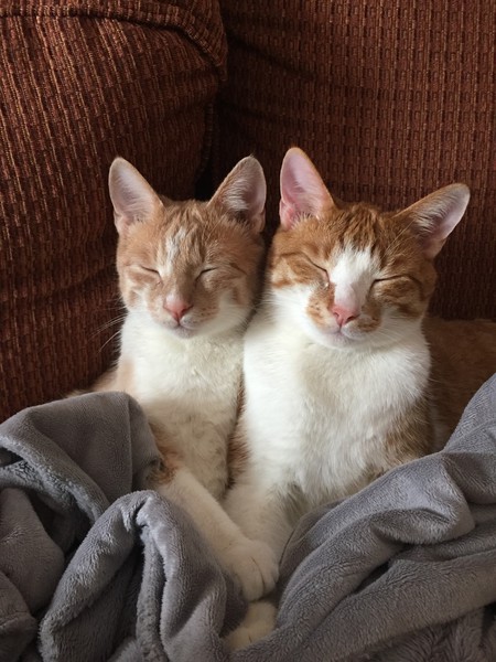 Cooper & Charlie