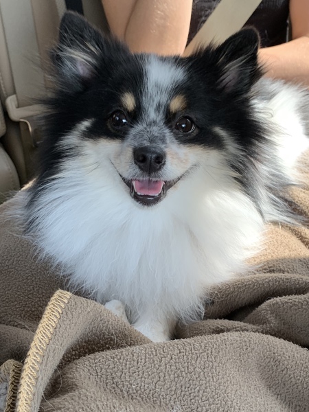 Booker