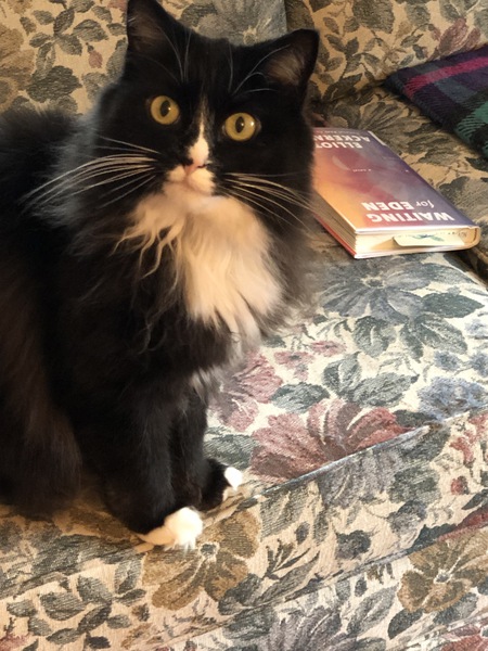 Kili
