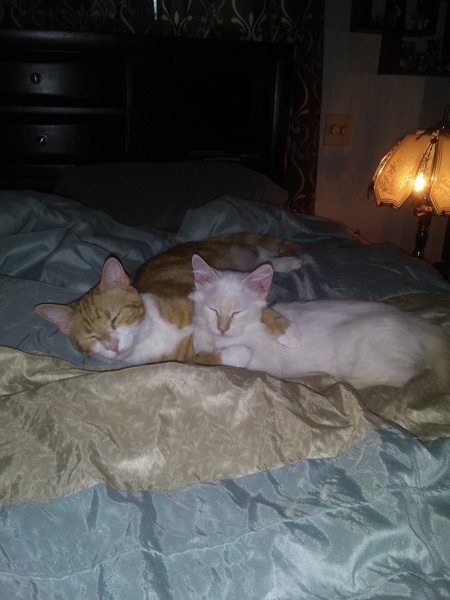 Remy & Fallon