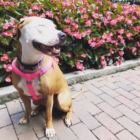 Ellie
