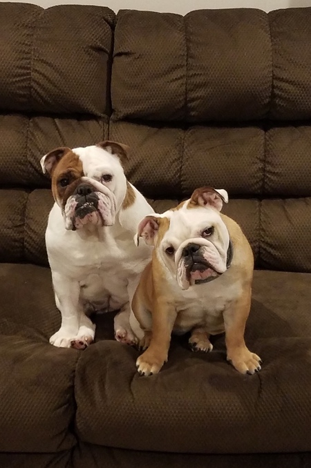 Bailey & Maci