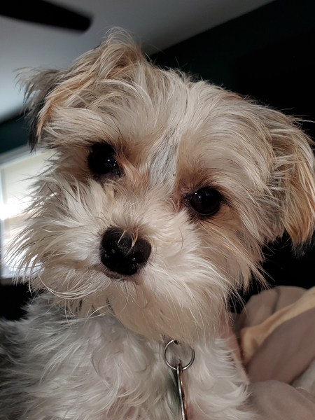 Jack