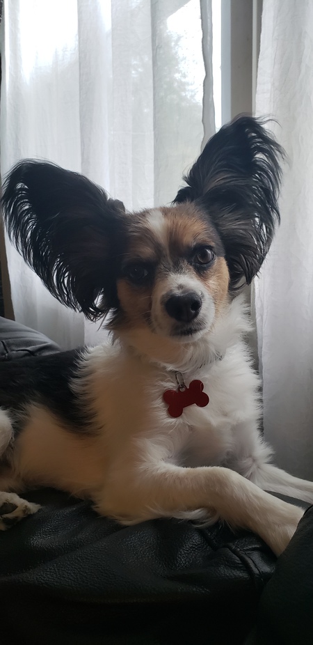 Max