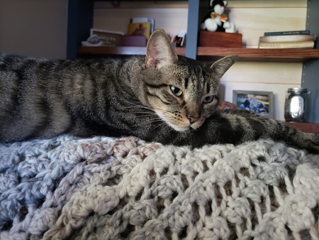 Mowgli