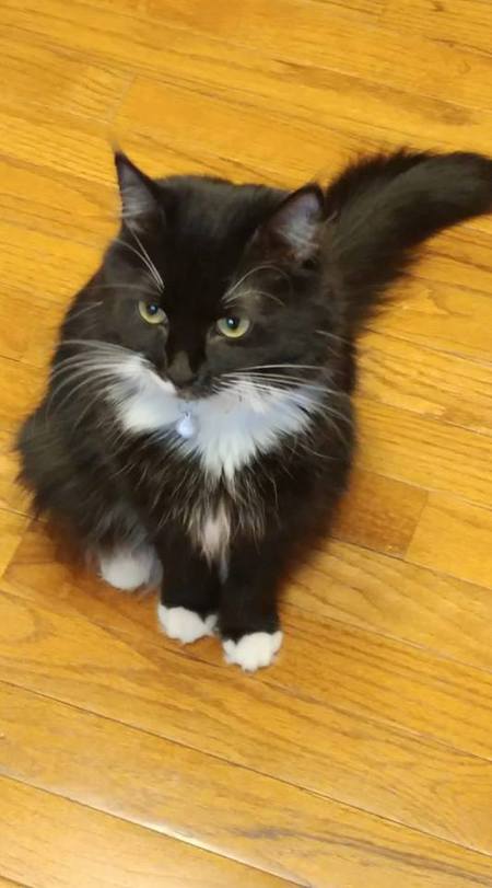 Bella