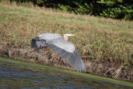 Soaring......