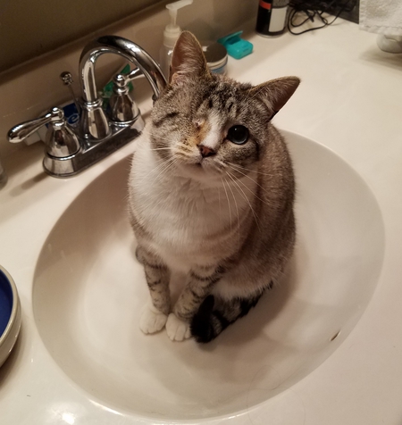 Jax