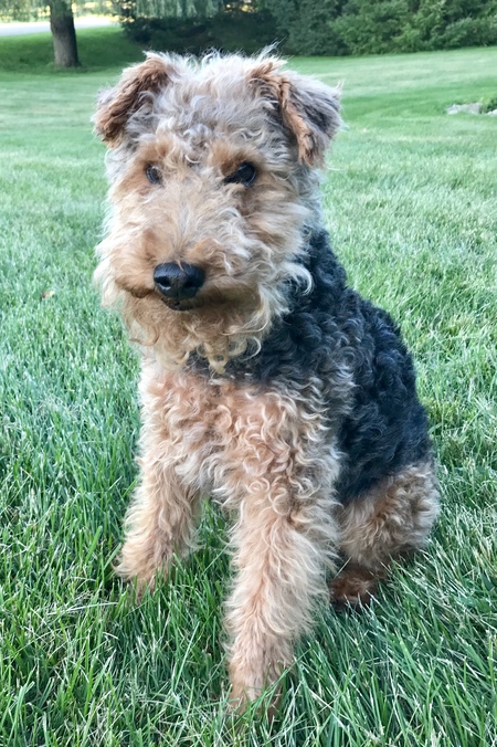 Wally