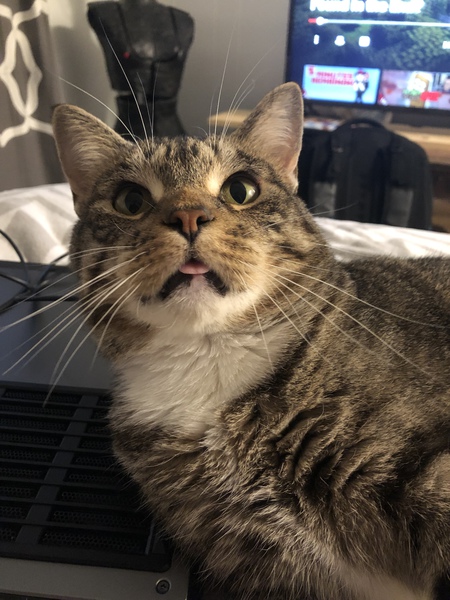 Boba