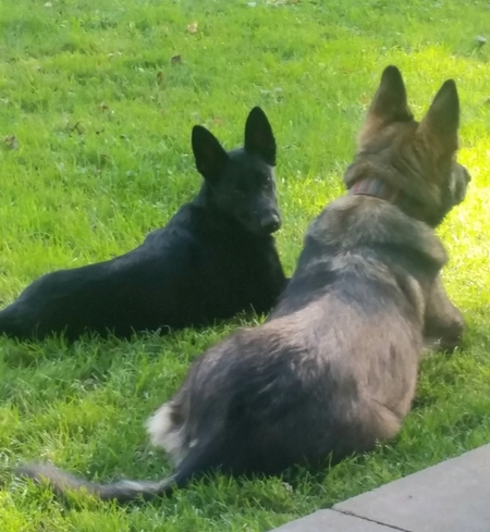Cleo and Rudy