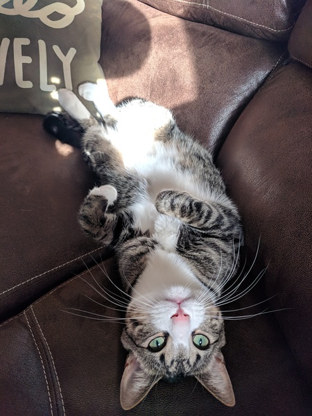 Murphy