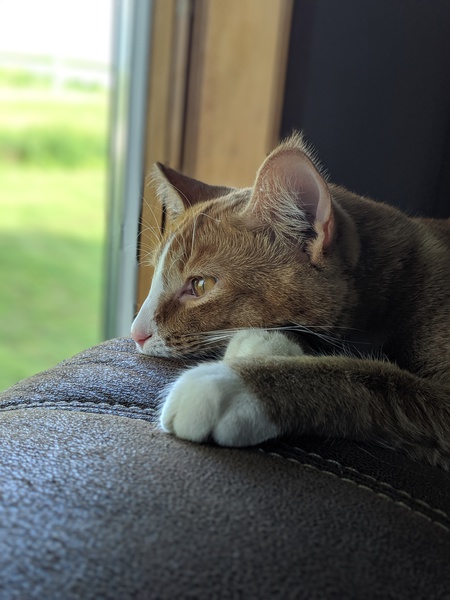 Copper