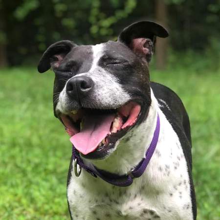 LULU