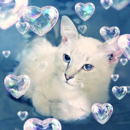 Snowball