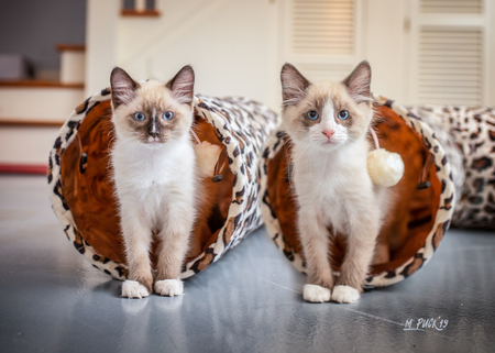 Woody & Bella