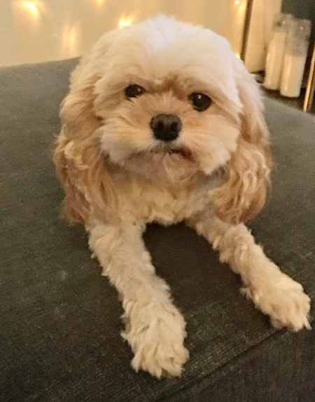 Frankie