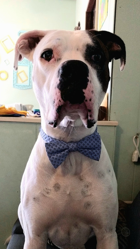 Bruno