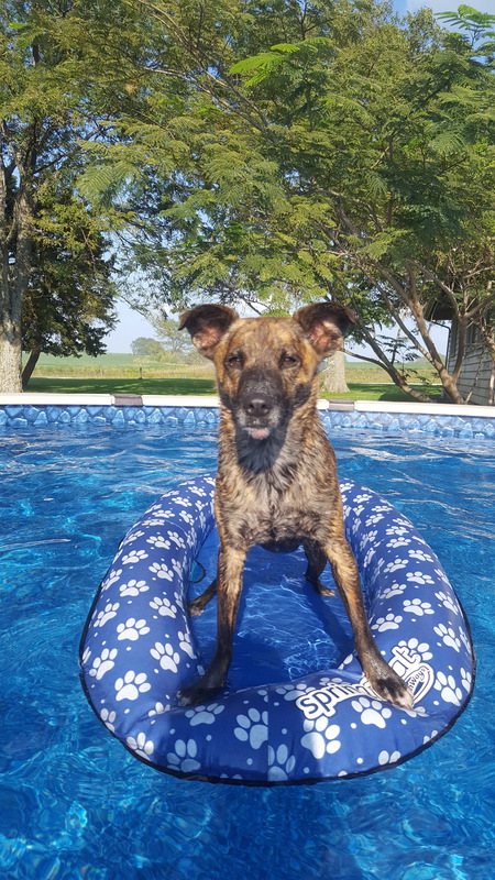 Sadie 