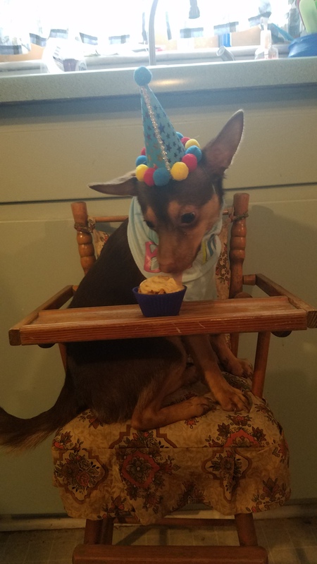Dobby