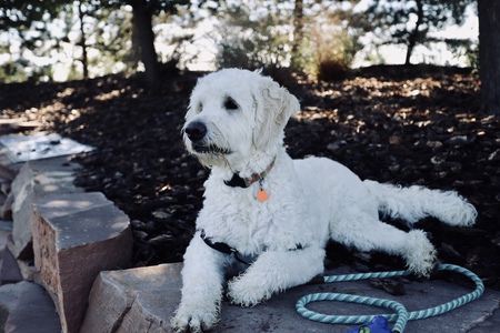 Murphy 