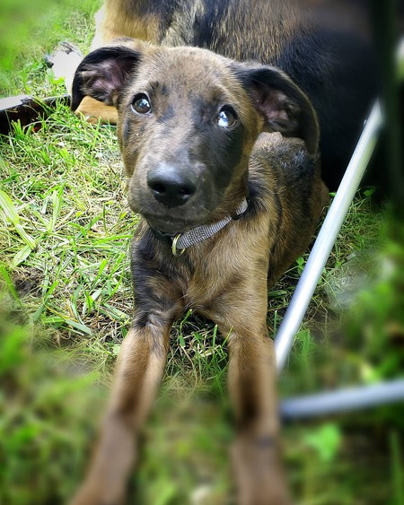 Copper