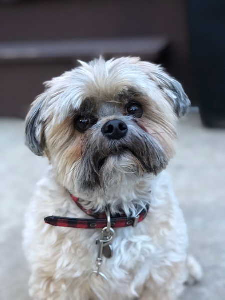 Buster