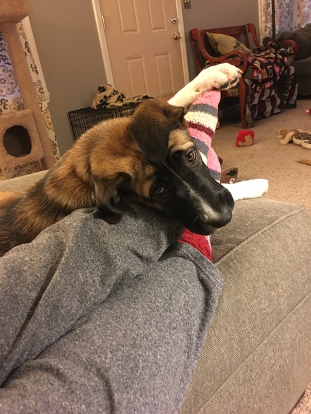 LeeLoo