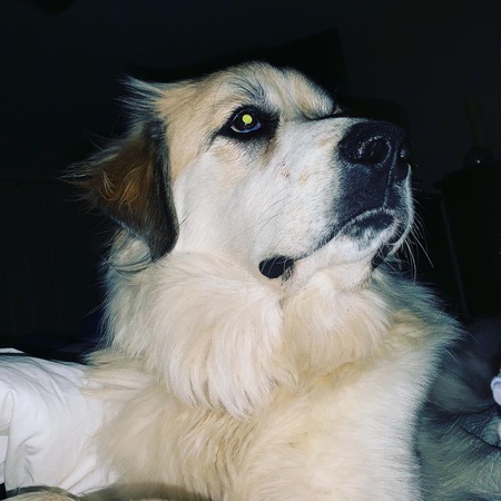 Lucy