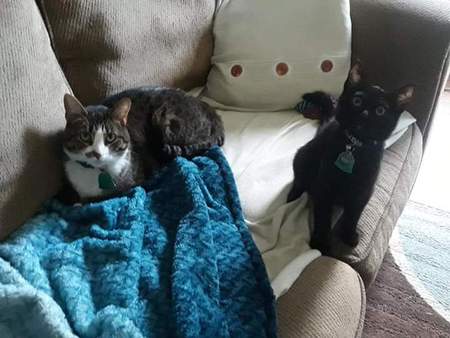 Jasmine and Sebastian 