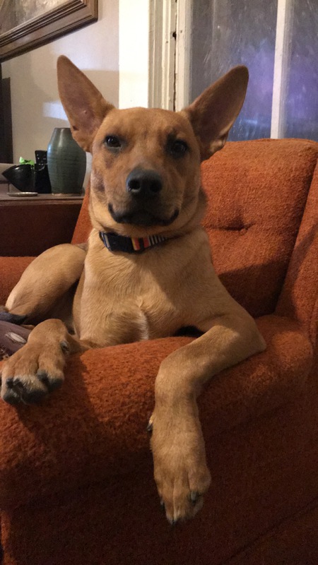 Sadie
