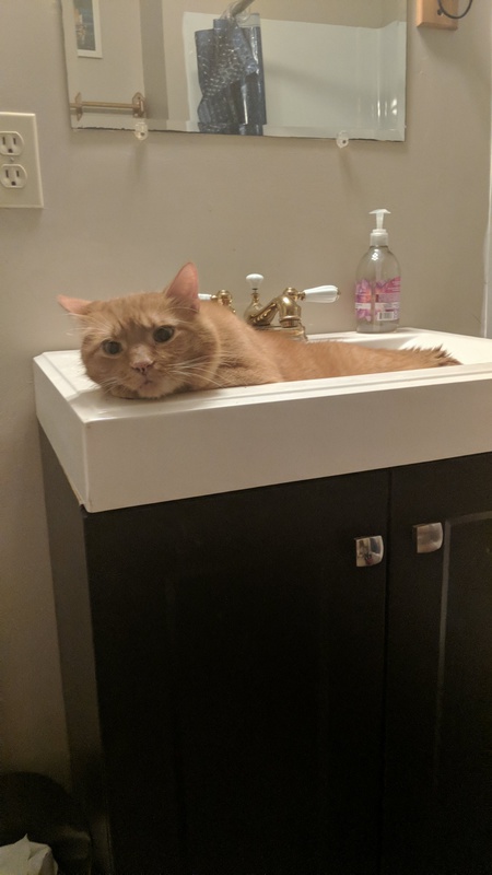 Xavier
