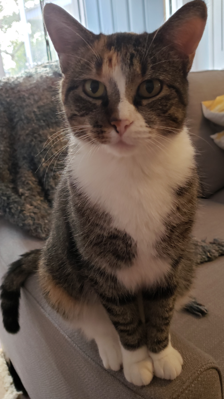 Buster 