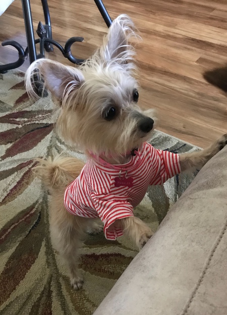 Pebbles