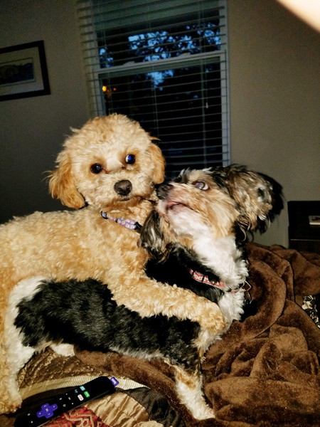 Annie & NOLA 