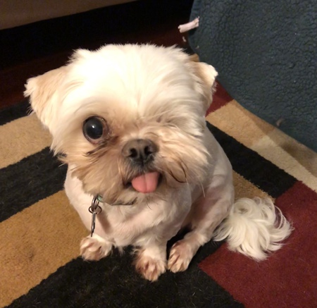 Jax 