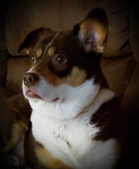 Ruby